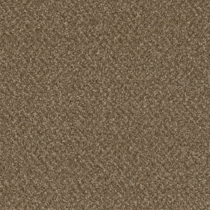 2051 - Mocha Beige