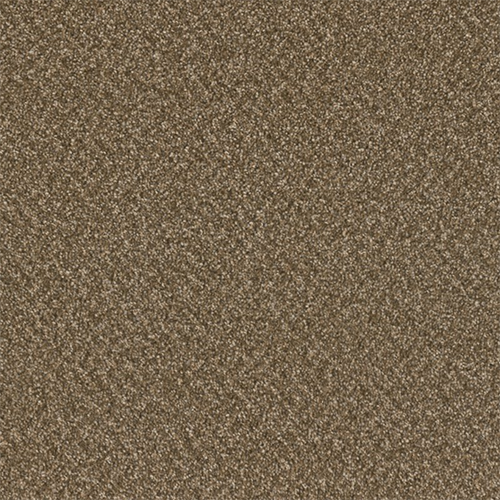 2051 - Mocha Beige