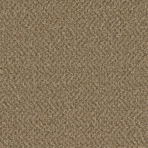 2418 - Aged Leather