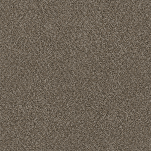 339 - Desert Jasper