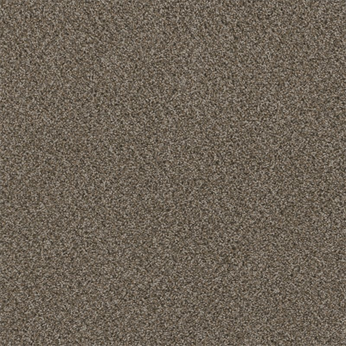 339 - Desert Jasper