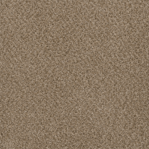 753 - Sand Lot