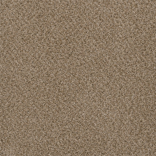 753 - Sand Lot