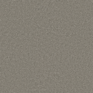 800 - Silver Birch