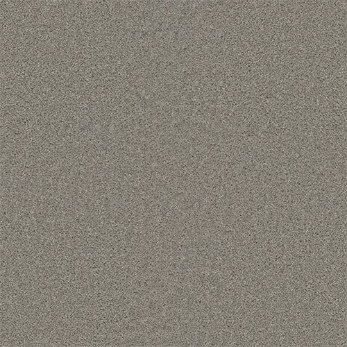 800 - Silver Birch